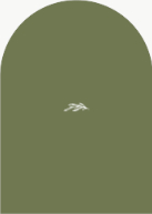 Arched Branch (Shaped Cut) Back