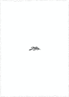 Arched Branch (Shaped Cut) Back