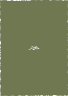 Arched Branch (Shaped Cut) Back