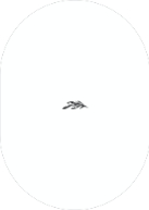 Arched Branch (Shaped Cut) Back