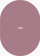 Arched Branch (Shaped Cut) Back