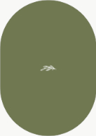 Arched Branch (Shaped Cut) Back