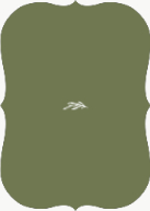Arched Branch (Shaped Cut) Back