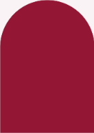 Leaf Branches (Shaped Cut) Back