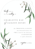 Leaf Branches (Shaped Cut) Front