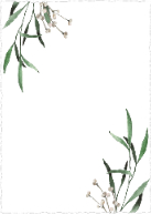 Leaf Branches (Shaped Cut) Back