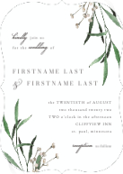 Leaf Branches (Shaped Cut) Front