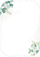 Mixed Eucalyptus (Shaped Cut) Back