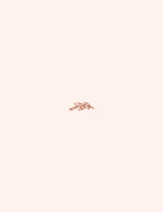 Arched Branch RSVP Back