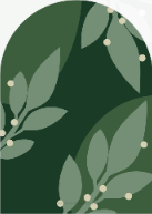 Modern Leaves (Shaped Cut) Back