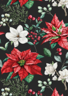 Festive Christmas Border Back