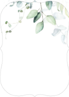Peeking Eucalyptus (Shaped Cut) Back