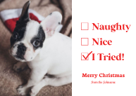 Naughty, Nice, I Tried Front