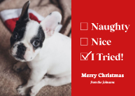 Naughty, Nice, I Tried Front