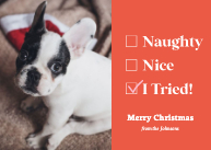 Naughty, Nice, I Tried Front