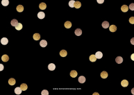 Foiled Confetti Back