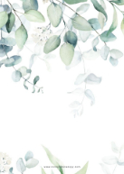 Soft Eucalyptus (Retirement) Back