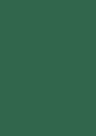 White with Greenery, Anniversary Back