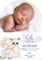 Little One, Llama (Shaped Cut) Front