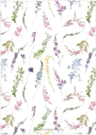 Delicate Wildflowers (Shaped Cut) Back