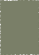 Twiggy (Shaped Cut) Back