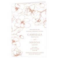 Lovely Magnolia