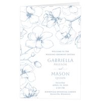 Lovely Magnolia