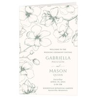 Lovely Magnolia