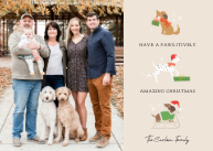 Paws-itively Amazing Christmas Front