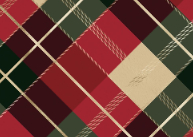 Foiled Tartan Back