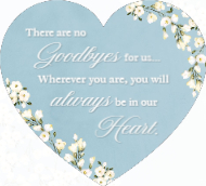 No Goodbyes Front