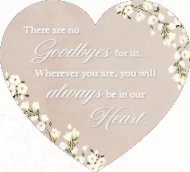 No Goodbyes Front