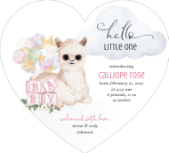Little One, Llama Front