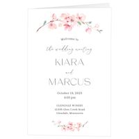 Sakura Blooms