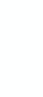 Peeking Eucalyptus (Menu) Back