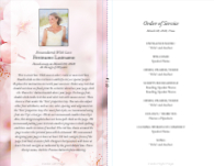 Spring Blossoms
