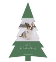 Paws-itively Amazing Christmas (Shaped Cut) Back