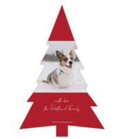 Paws-itively Amazing Christmas (Shaped Cut) Back