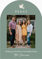 Peaceful Dove (Shaped Cut) Front