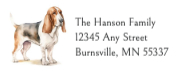 Basset Hound #2