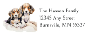 Beagles