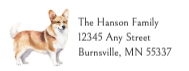 Corgi #2