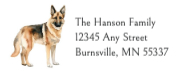 German Shepherd #1