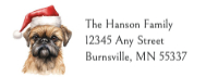 Brussels Griffon
