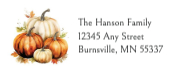 Fall Pumpkins