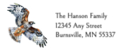 Northern Harrier