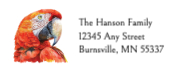 Scarlet Macaw