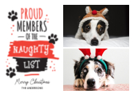 Pet Naughty List Front
