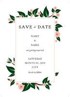Botanical Border Postcard, Peach Front