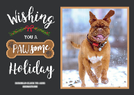 PAWsome Holiday Front